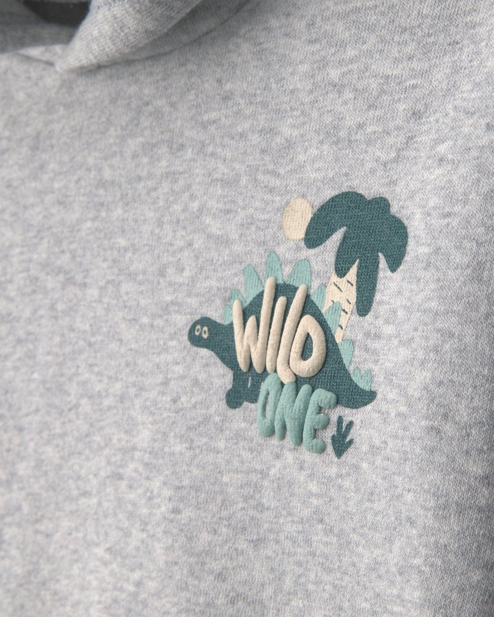 Conjunto 2 piezas, sudadera con capucha y pantalón, dinosaurio - Carter's