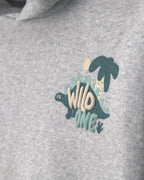 Conjunto 2 piezas, sudadera de dinosaurio con capucha - Carter's