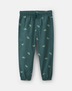 Conjunto 2 piezas, sudadera de dinosaurio con capucha - Carter's
