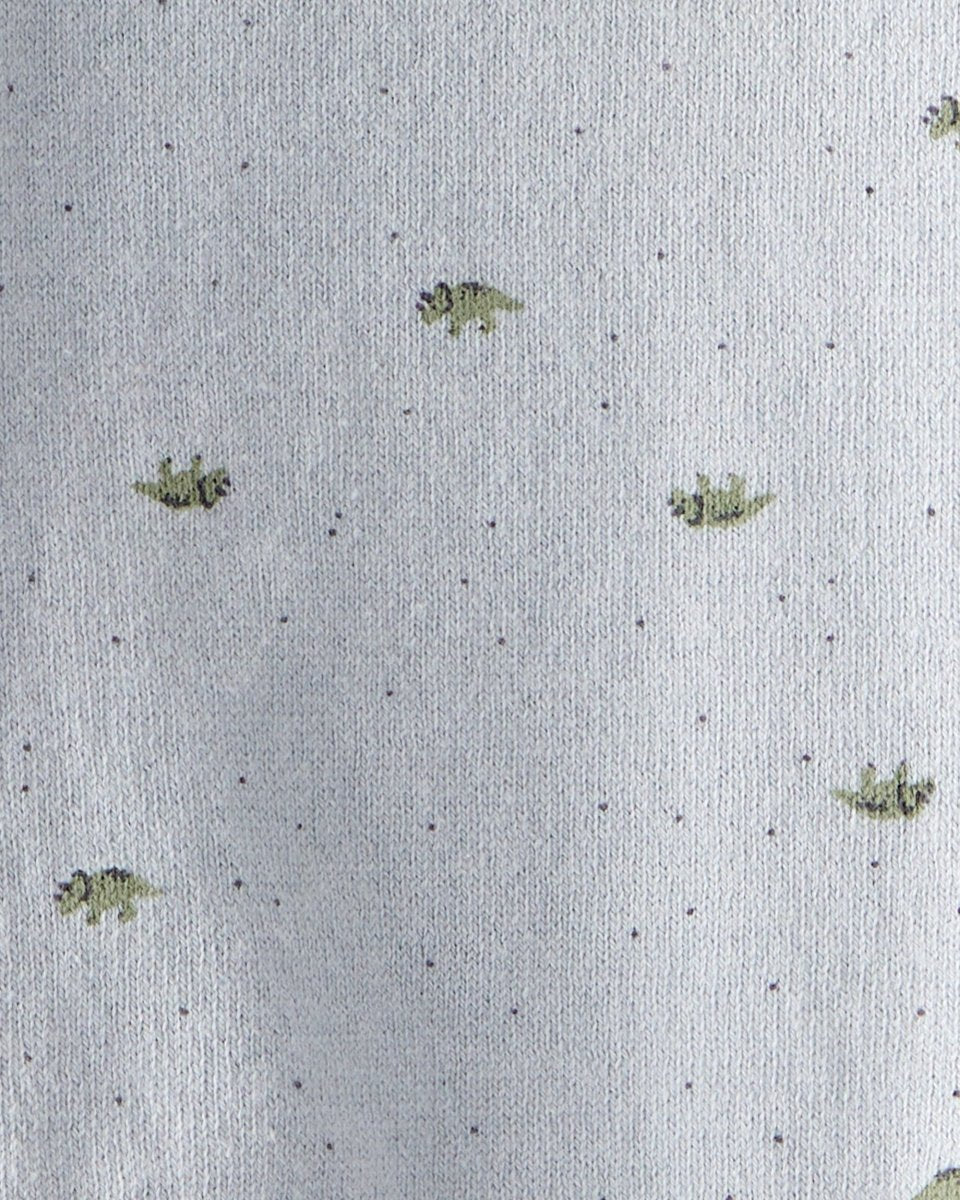 Conjunto dos piezas en algodón con cárdigan y pantalón estampado dinosaurios - Carter's