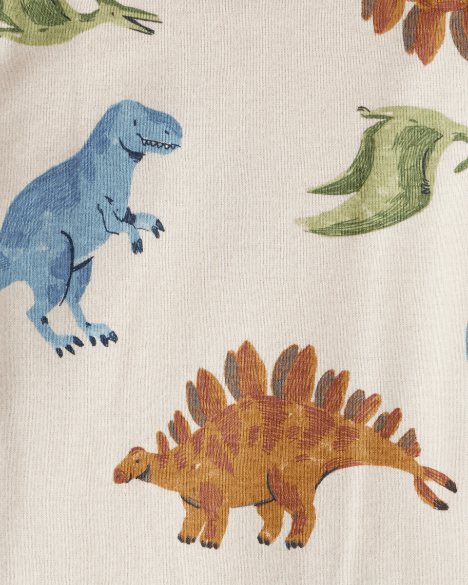 Pack 4 bodies de manga larga con dinosaurios y rayas - Carter's